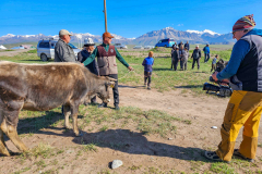 2024-TJU-Himmelsberge-Presse-Kirgistan-54klein